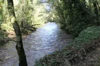Casa do Rio Vez - LOFT IN RIVERFRONT