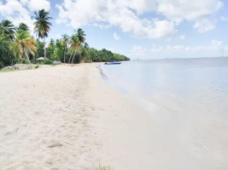 MARIE GALANTE VACANCE