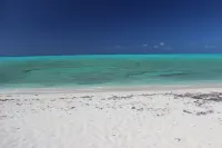 Sundial Bambarra Beach ~ Conch