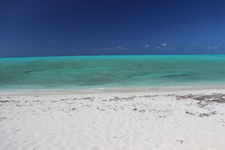 Sundial Bambarra Beach ~ Conch