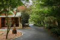 Love in the Mist cabin (new listing) 埃默拉爾德住宿飯店