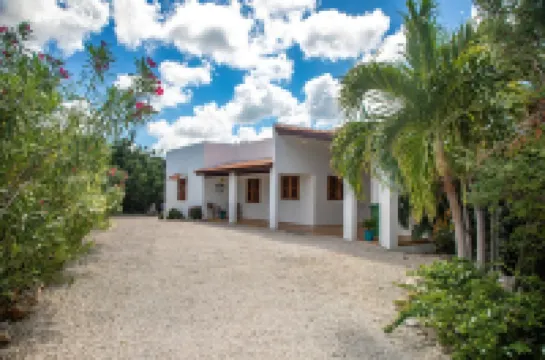 Latitude Adjustment - Ocean View, Surrounded by Bonaire Nature! Hotels in 