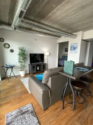 Downtown luxury 1 bedroom sleeps 3 wifi and laundry Hotels in 