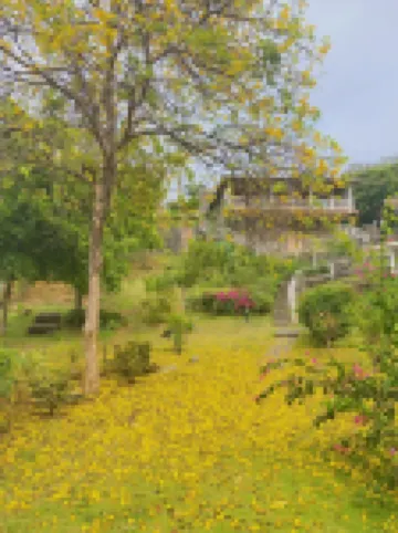 Frangipani Hotel Hotéis em 