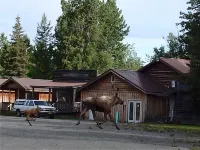 全季營地小屋 酒店