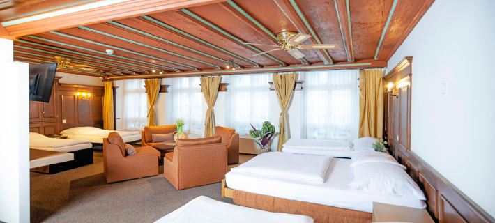 Hotel Baslertor Hotels in Luzern