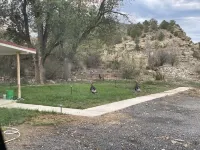 Valentine's Northern New Mexico Mountain Ranch on Colorado Border 2 Bedroom Retreat by RedAwning - Cho phép mang theo thú cưng