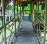 Amazon King - parkir