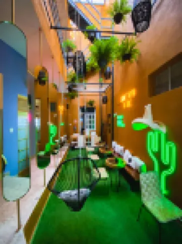 Once Upon A Time in Mexico - Kasa Kaktus