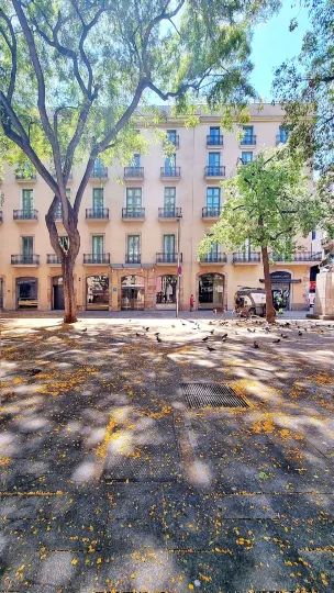 Hotel Sant Agustí
