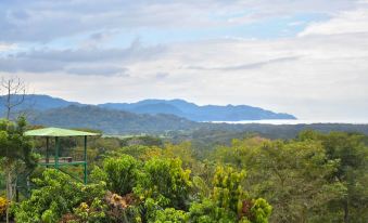Tarcoles Birding Lodge