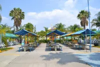 Hotel Splash Inn Hotel a Silao