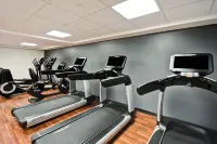 DoubleTree by Hilton Deadwood at Cadillac Jack's - Gym