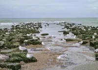 Apartment in St Idesbald Near the Sea