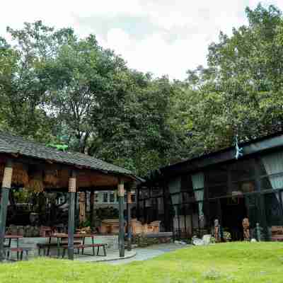 Krazy Gecko Resort Hotel Exterior