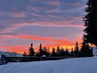 Reindeer forest apartment