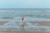 Avani+ Hua Hin Resort - Resorts