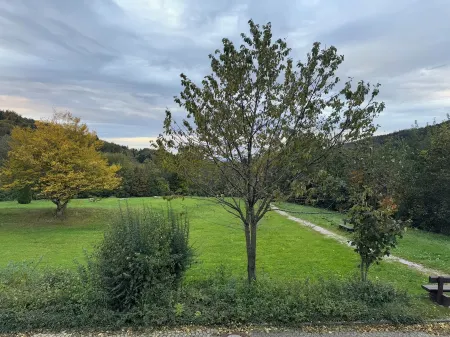 Timeout in the Black Forest – Your Holiday Apartment in Sasbachwalden