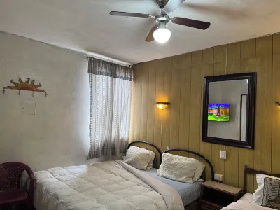 Hotel Metropolitano Hotels in 