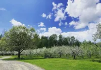 Spacious Farmhouse Retreat - pet friendly, pool, deck, Orchard views, and more.