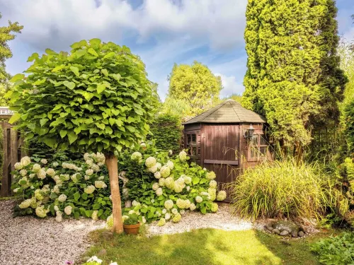 Surroundings Schoorl, Dune and Beach. Cozy house with garden on small park. Dog welcome Hotels in Warmenhuizen