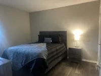 Charming 1-bedroom apartment in lovely Tampa with fitness room, WiFi Hotels in University