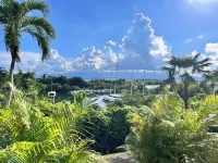 A haven of peace in the heart of the Marina