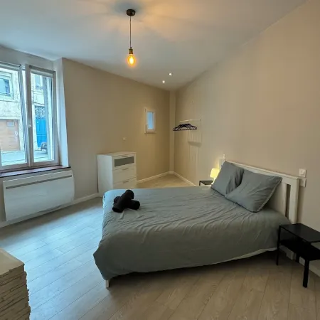 Charmant appartement Nancy centre
