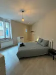 Charmant appartement Nancy centre