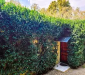 Quiet, bright & warm cottage near parks, shopping, nightlife and Zoo Lake!