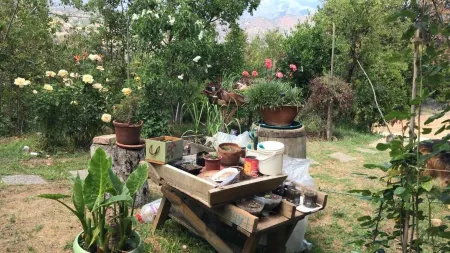 Connect with the Chilean native forest