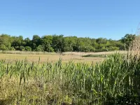 Adorable Beach Cottage for Monthly Rental Across the street from the beach! Hotels in Westbrook