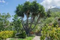 Apartment 8 minutes from downtown!