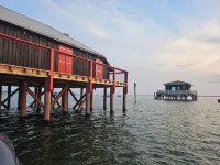 House Arcachon basin near beach cycle path Hotels in Lanton