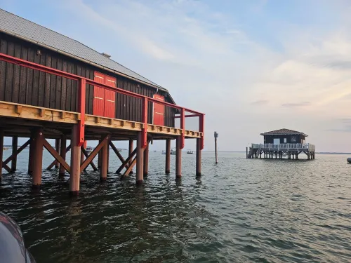 House Arcachon basin near beach cycle path