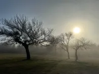 Charming, Fully Restored Farmhouse on Acreage