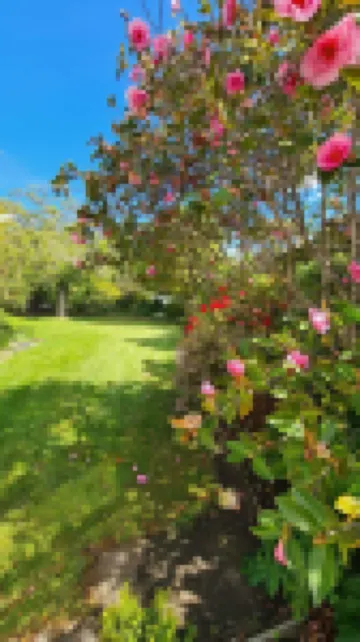 Where comfort meets the mountains—close to everything,spacious,and pet-friendly!