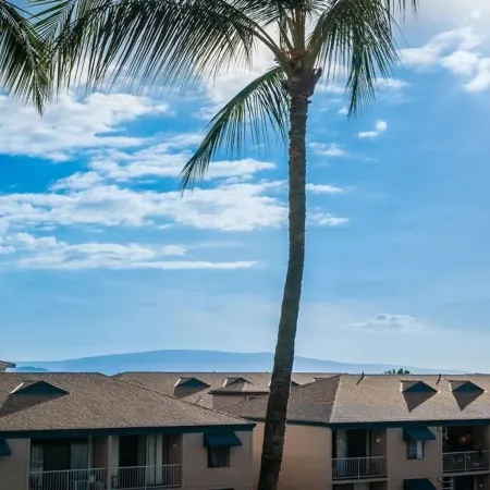 The Ocean View Residence