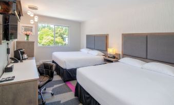 The Spot at Porpoise Bay