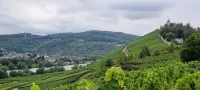 Wald Villa Üssbach - Airport Shuttle