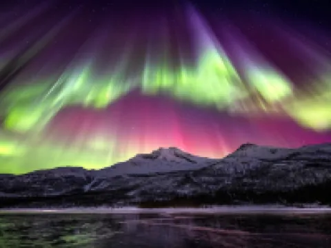 Central 1BR apartment (D14D) Hotels in Narvik