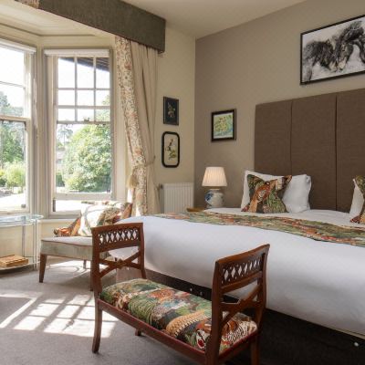 Deluxe Double Room Forest Park Hotel Promo Code