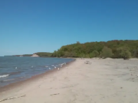 Finger Lakes Treehouse Hotéis em Sodus