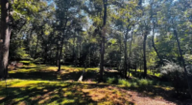 Apartment Nestled in Woods of Charming Charlottesville