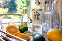 Stylish 3Br House w/ Patio ~ Walk to State Capitol 2.5 Miles to Buffalo Trace