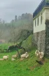 赫里科旅館 - 2 星級