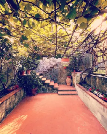 Collimare Rooms Hotel a 