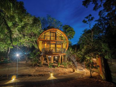 woodland sanctuary
