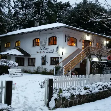 Posada de la Flor のホテル