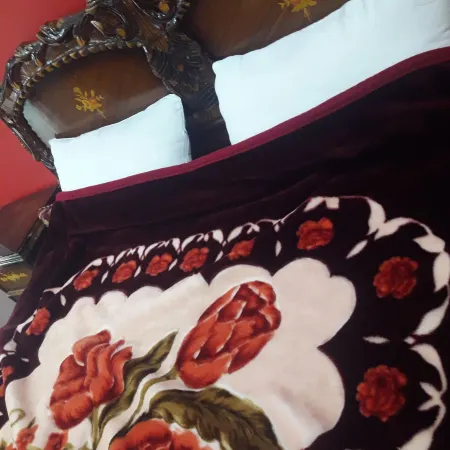 Wadirum Hostel